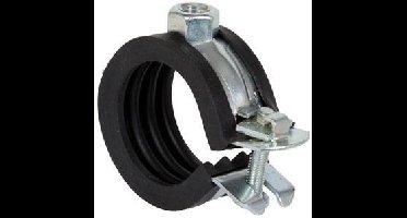 Fischer 79420 Buisklem RVS 100 stuk(s)