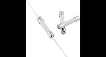 ESKA 632.119 632119 Buiszekering (Ø x l) 6.3 mm x 32 mm 1.6 A 500 V Supersnel -FF- Inhoud 10 stuk(s)