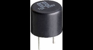 ESKA 885019 885019 Printzekering Radiaal bedraad Rond 1.6 A 250 V Snel -F- 1 stuk(s)