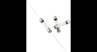 ESKA 525217 Buiszekering (Ø x l) 5 mm x 25 mm 1 A 250 V Normaal -mT- Inhoud 10 stuk(s)