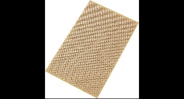 TRU COMPONENTS SU527769 Printplaat Hardpapier (l x b) 16 cm x 10 cm 35 µm Rastermaat 2.54 mm Inhoud 1 stuk(s)