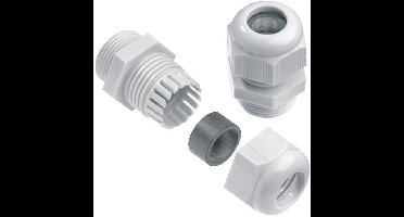 Weidmüller 1909660000-1 M12 Polyamide Grijs 1 stuk(s)