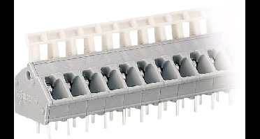 WAGO 256-402 Veerkrachtklemblok 2.50 mm² Aantal polen 2 Grijs 1 stuk(s)