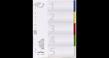 Durable 6730 Register DIN A4 blanco Polypropyleen Meerdere kleuren 5 tabbladen 673027