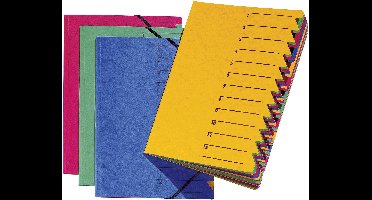 PAGNA EASY P2413102 Ordner Blauw DIN A4 Pressspankarton Aantal vakken: 12