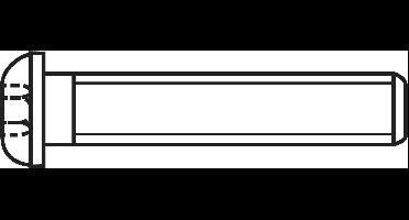 TOOLCRAFT 839809 Lenskopschroeven M6 20 mm Binnenzeskant (inbus) RVS A2 50 stuk(s)