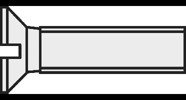 TOOLCRAFT 839944 Verzonken schroeven M2 10 mm Sleuf DIN 963 Kunststof, Polyamide 10 stuk(s)
