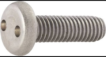 TOOLCRAFT 88111 Lenskopschroeven M4 16 mm Tweegats RVS 10 stuk(s)