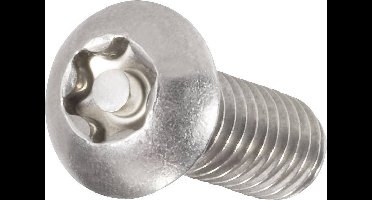 TOOLCRAFT 888765 Lenskopschroeven M3 10 mm T-profiel met pin RVS A2 10 stuk(s)