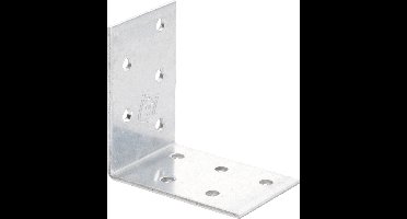 TOOLCRAFT Montagehoek voor geperforeerde platen 60 x 60 x 40 mm 60 mm 889601 1 stuk(s)