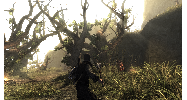 Koch Software Risen Playstation 4