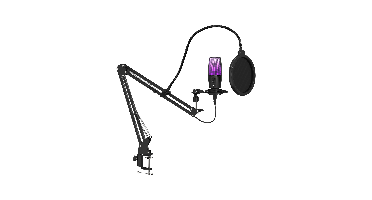 Qware Gaming Microphone - Staccato