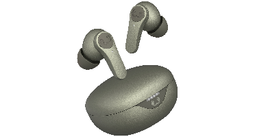 Fresh 'n Rebel Twins Rise Dried Green