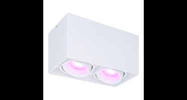 Esto smart Opbouwspot - Vierkant - Plafondspot - 2-Lichts - Kantelbaar - RGBWW - Wifi + Bluetooth - Google Home, Amazon Alexa en Siri - Wit - Bestuurbaar via App en Stem