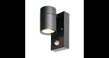 Mason wandlamp - 2700K warm wit - Bewegingsmelder en schemerschakelaar - IP44 spatwaterdicht - Spotlight voor binnen en buiten - Zwart