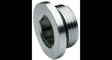 Plug O-ring G1/8