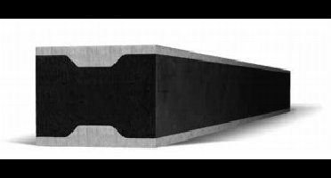 Rail 100x55x2000 A2 55 Shore