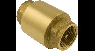 Bonfix - TerugstroomBeveiligings-Eenheid - Keerklep - met messing insert 2-1/2" - 2 x binnendraad