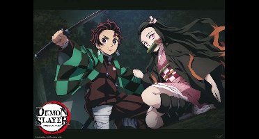 Poster Demon Slayer - Tanjiro And Nezuko Fight Position 52x38cm