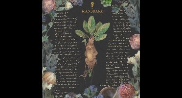 Kunstdruk Harry Potter - Yume Fantasy 40x40cm