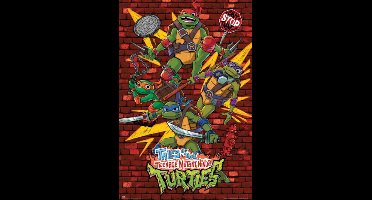 Poster Ninja Turtles - 61x91,5cm