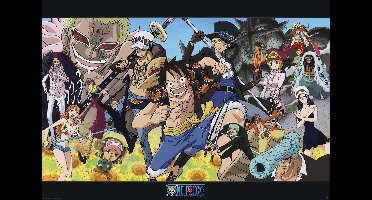 Poster One Piece - Dressrosa 91,5x61cm