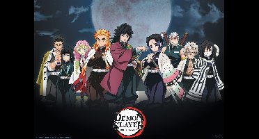 Poster Demon Slayer - Pillars 52x38cm