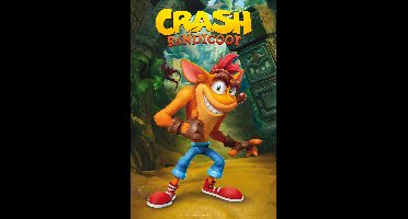 Poster Crash Bandicoot - Classic Crash 61x91,5cm