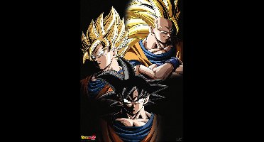 Poster Dragon Ball - Goku Transformations 38x52cm