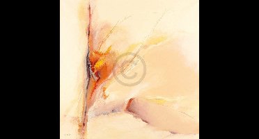 Kunstdruk Willi Mayerhofer - Plaisir du jour 1 98x98cm