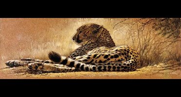 Kunstdruk Renato Casaro - Little rest 99x34cm