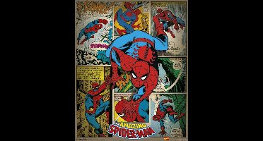 Poster Marvel Comics Retro 40x50cm