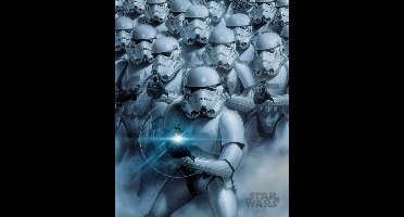 Poster Star Wars - Stormtroopers 40x50cm