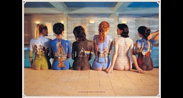 Poster Pink Floyd - Back Catalogue 91,5x61cm