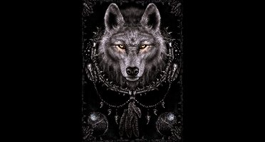 Poster Spiral Wolf Dreams 61x91,5cm