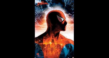 Poster Spider-Man - Protector of the City 61x91,5cm