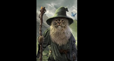 Poster Catdalf 61x91,5cm