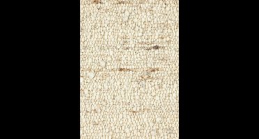 MOMO Rugs Natural Weaves - Vloerkleed Minori 460 -
