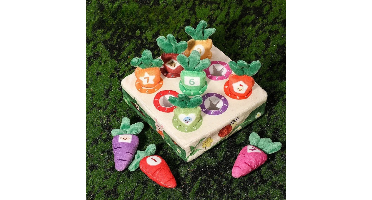 Sensory Carrots– Voelen&Plukken– Zintuiglijk Speelgoed 1 t/m 9 | Educatief Speelgoed
