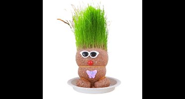 Figure Plants™ - Leer planten verzorgen -  Thuis Decoratie Planten Groen Gras Punk | Educatief Speelgoed