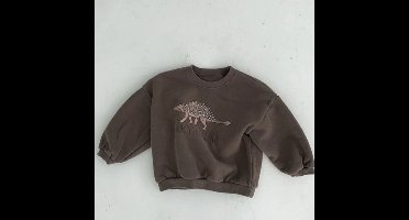 Mini Fashion™ - Leuke Dinosaurus Print - Dino Sweater Bruin / 90 (2 jaar) | Educatief Speelgoed