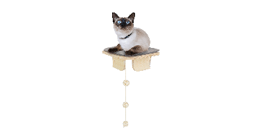 AFP Skywalk - Corner Platform