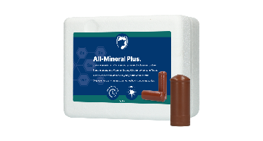 Excellent All-Mineral Plus 20 st