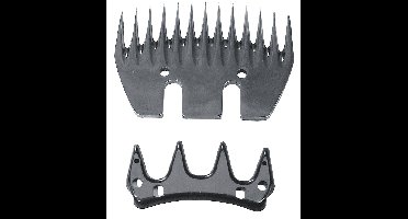 Constanta 3 Messenset Schaap 4/13