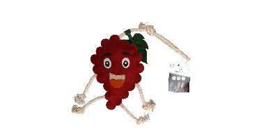 Excellent Horse Foodie Friends Raspberry