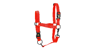 Excellent Premium Halster Rood L