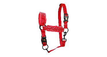 Excellent Superior Halster Rood XL