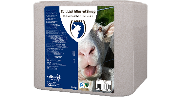 Excellent Liksteen Mineral Schaap 10 kg