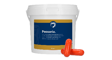 Excellent Pessaria Capsule 12 st