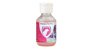 Excellent Shampoo Tea Tree 100 ml